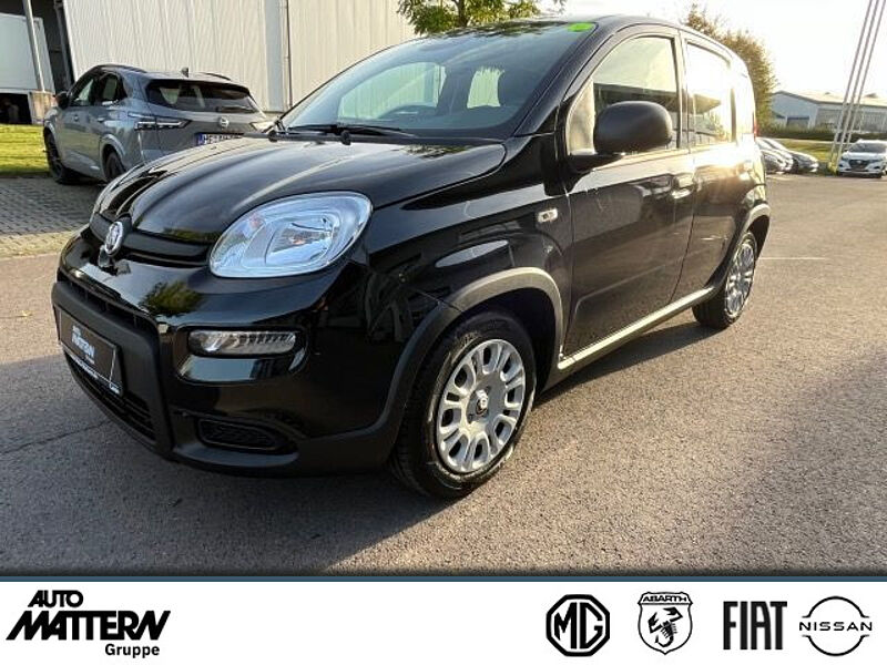 Fiat Panda City Paket // Parksensoren hinten