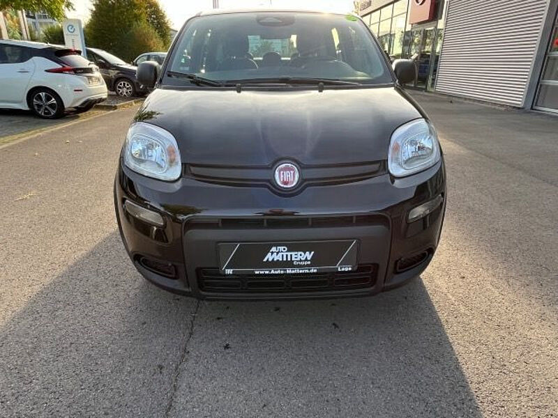 Fiat Panda City Paket // Parksensoren hinten