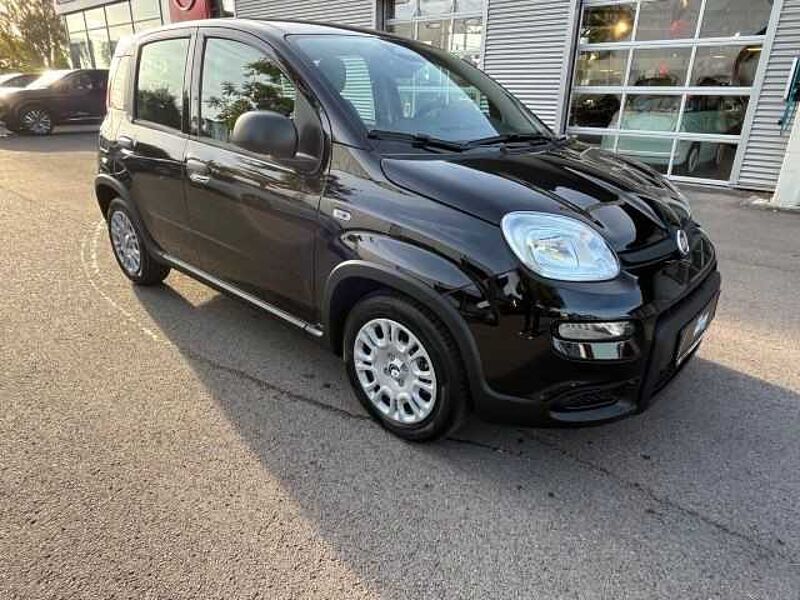 Fiat Panda City Paket // Parksensoren hinten