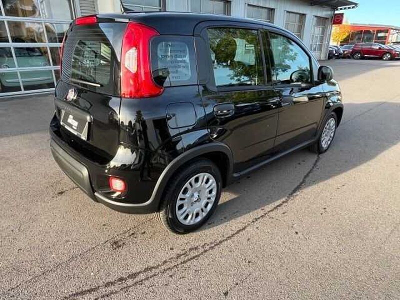 Fiat Panda City Paket // Parksensoren hinten