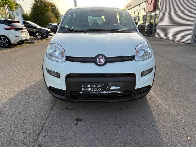 Fiat Panda City Paket // Parksensoren hinten