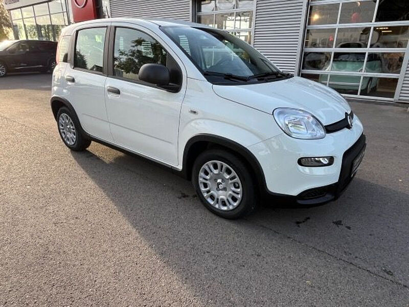 Fiat Panda City Paket // Parksensoren hinten