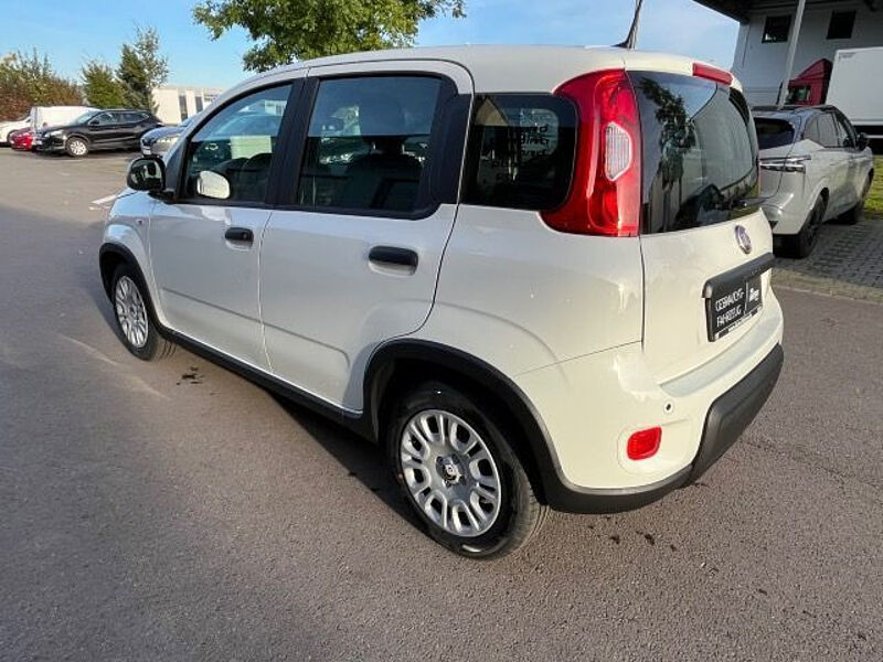 Fiat Panda City Paket // Parksensoren hinten