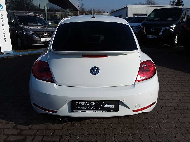 Volkswagen Beetle 1.4 TSI Cup*R-Line*Alu19Zoll*SHZ*