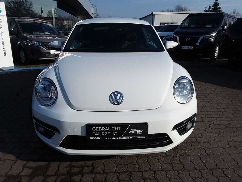 Volkswagen Beetle 1.4 TSI Cup*R-Line*Alu19Zoll*SHZ*